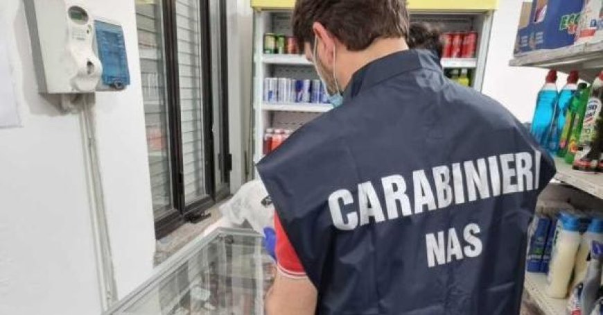 Le NAS de Parme ferme un marché ethnique à Plaisance, 104 kilos d’aliments périmés saisis