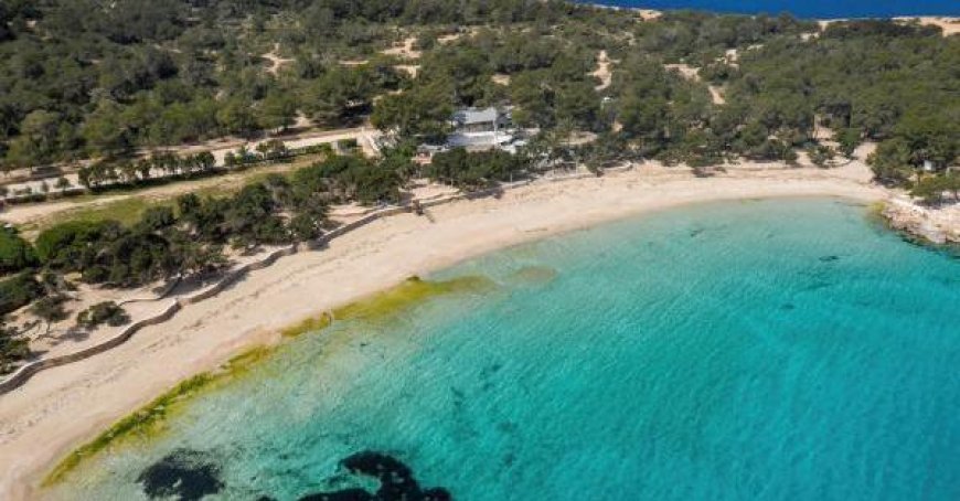 Sechs Festnahmen auf Ibiza: Gäste zahlen 12.300 Euro Rechnung nicht