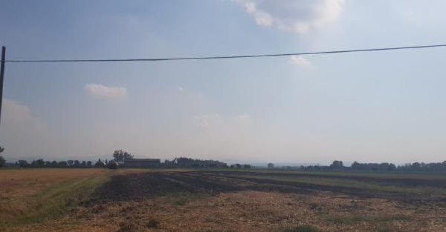 Zwei Hektar Rauch in Semoriva: Brandstiftung im italienischen Busseto