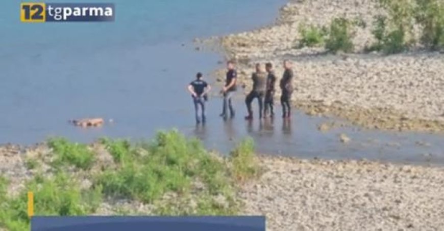 Décès d’un jeune Pakistanais retrouvé dans le Taro : comment est-il mort? – Vidéo