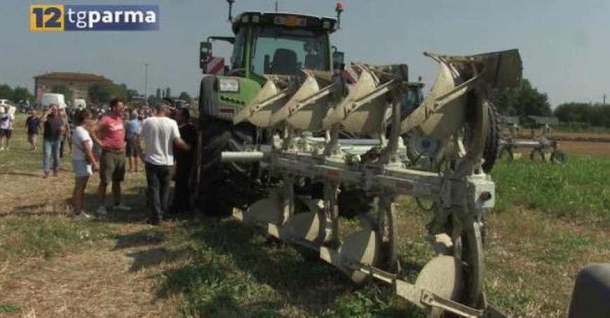 Trecasali Hosts Motor Mowing Competition Organized by Confagricoltura Parma – Watch the Video