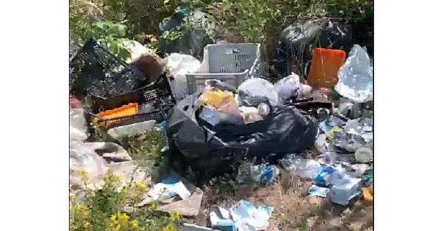 Illegale Mülldeponie in Vigatto entdeckt – Video ansehen