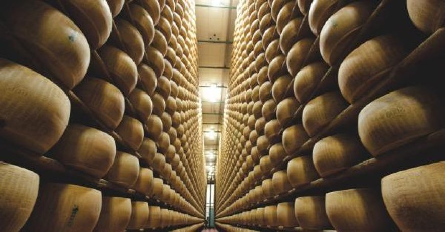 Les ventes de Parmigiano Reggiano ont augmenté de +15,1% au premier semestre