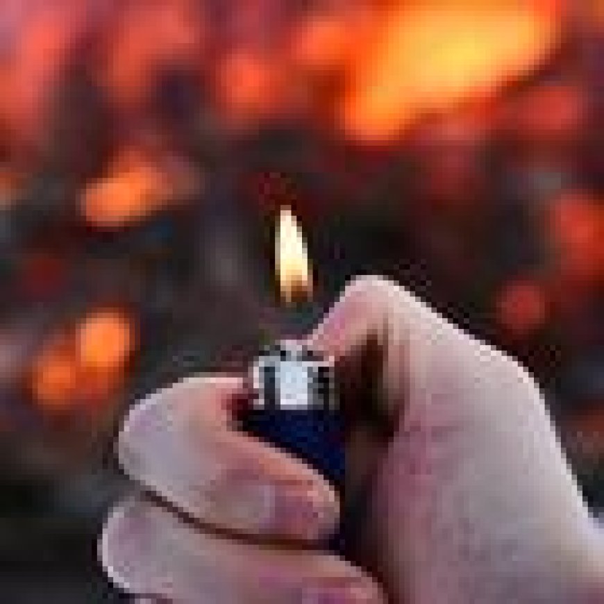 Incendie près de la forêt, arrestation d’une pyromane de 68 ans