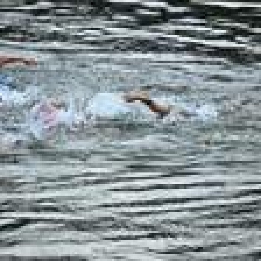 Senna okay, aber die Azzurri vom Untergrund trainieren nicht im Fluss.