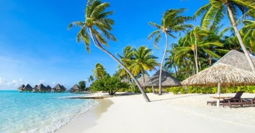Urlaub steht bevor: Grünes Reisen im Trend