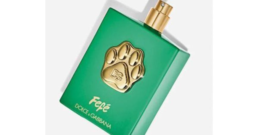 Dolce & Gabbana lance Fefè, une nouvelle gamme de parfums pour chiens
