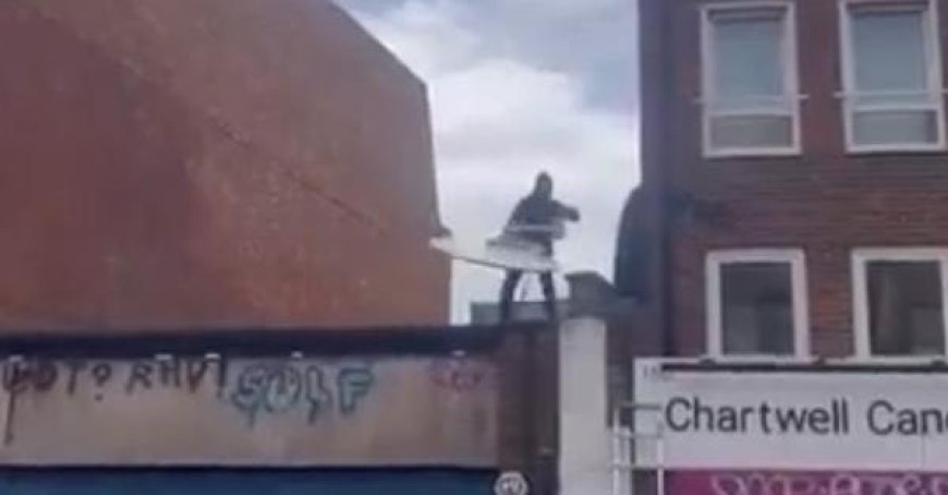 Un nouvel animal apparaît dans le “safari” de Banksy à Londres : mais il est immédiatement volé – Vidéo