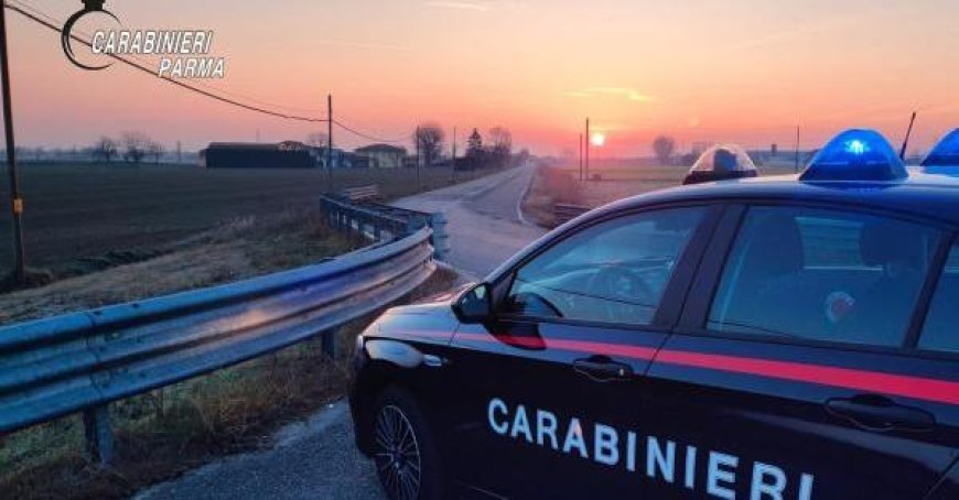 Carabinieri untersuchen Vorfall: Autofahrer lässt Radfahrer stürzen und verlässt Unfallort