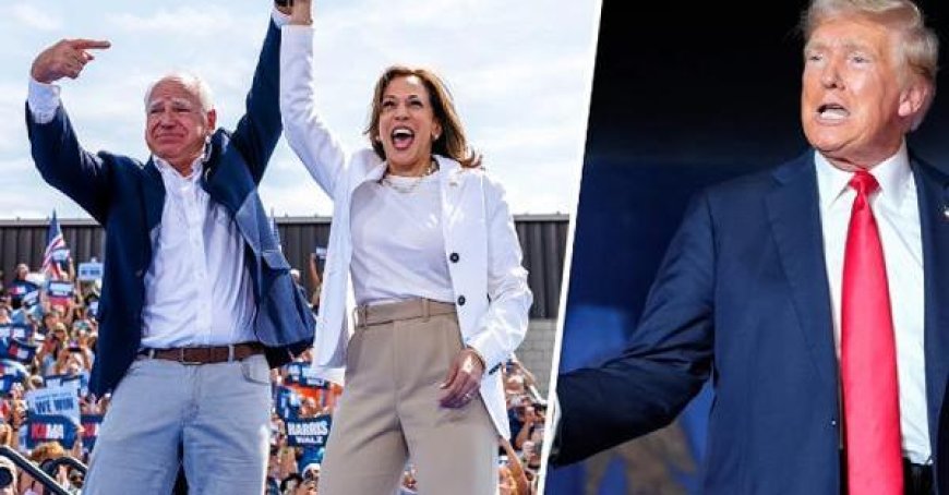 Avec Walz comme vice-président, Kamala Harris met Trump en difficulté