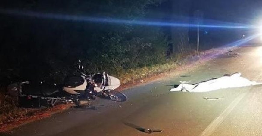 Motorradfahrer stirbt nach Kollision mit Wildschwein