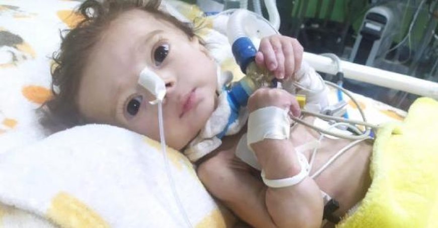 Morgen wird der Junge aus Gaza, Seifeddin, in Parma beerdigt: Er ist ein Symbol für Frieden