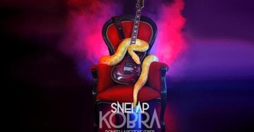 Neue Musik: Cover-Band “Kobra” mit 5 Boas und trainierten Kobras – Video