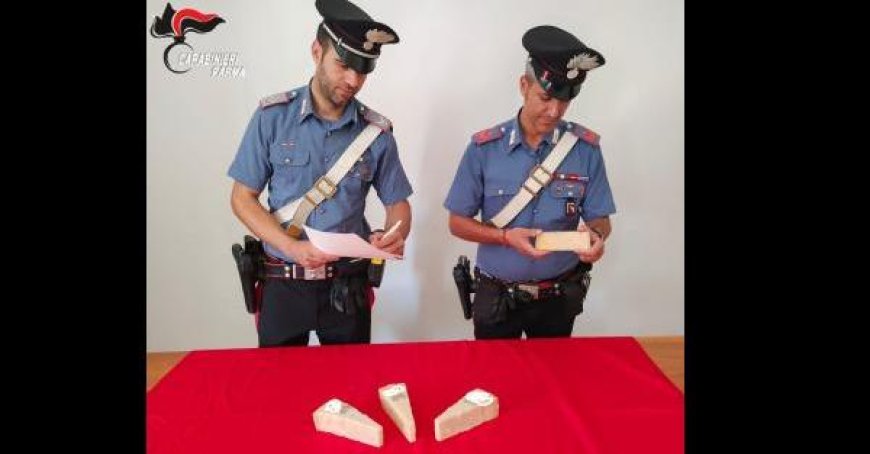24-Jähriger Ausländer wegen Diebstahls von 4 Stücken Grana Padano auf dem Weg zur Bushaltestelle blockiert