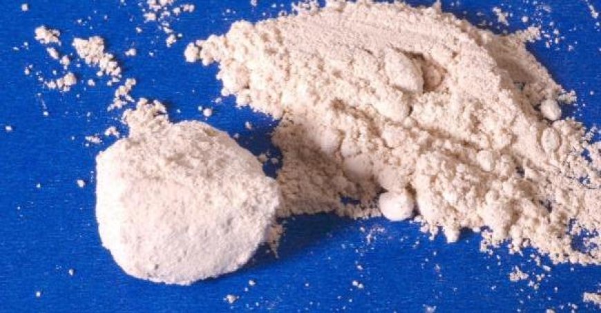 Importante saisie de 148 kilos de cocaïne dans le port de Livourne, 3 arrestations