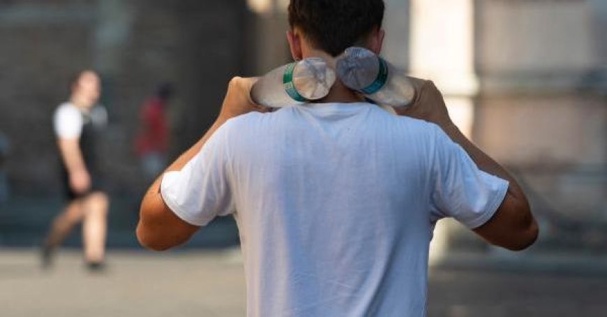 Beltrami warnt: “Nie eine Mahlzeit durch ein Eis ersetzen”