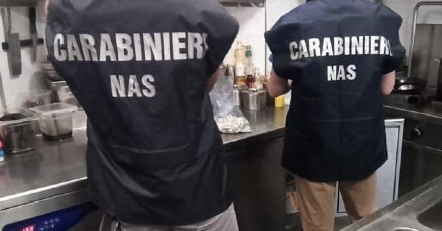 Kakerlaken und “antiker” Schmutz: Das Nas schließt eine Bar im Zentrum. Eine Geldstrafe von 3.000 Euro für den Besitzer