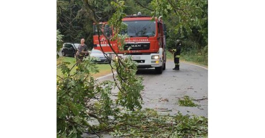 Des vents forts et de fortes pluies à Salsomaggiore, un arbre tombe sur la route à San Vittore – Photo