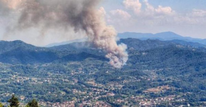 Feuer auf den Hügeln von Versilia. Bürgermeister von Camaiore: “Wir sind in Alarmbereitschaft” – Foto- und Videoaufnahmen