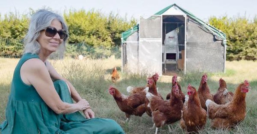 «De Miami à Parme, ma nouvelle vie à la campagne avec 240 poules»