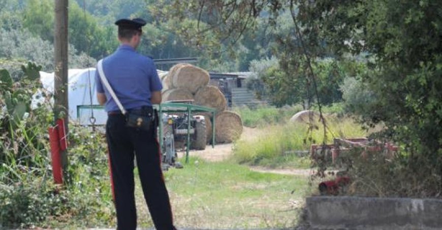 Un homme âgé écrasé et tué par un tracteur conduit par son fils
