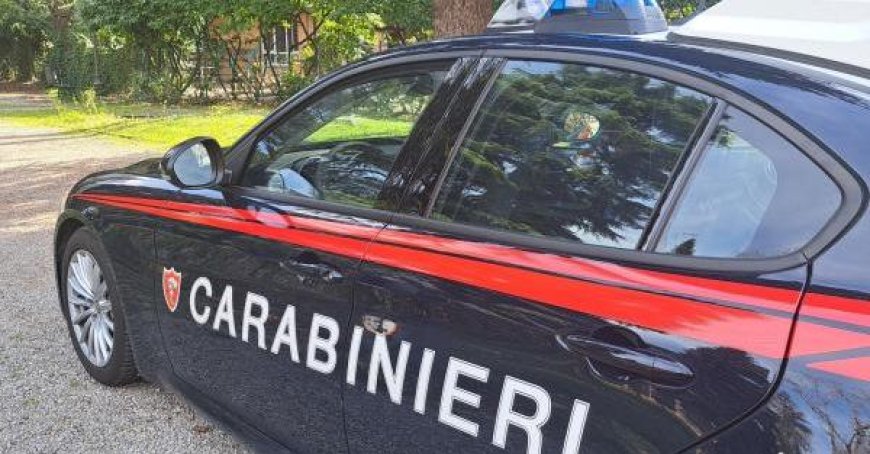 Männer aus Parma und Verona werden als Diesel-Diebe gemeldet