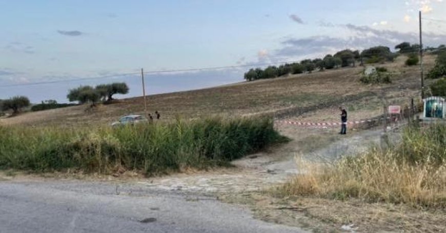 Shepherd Shot in Leg after Wounding Man with Sticks; Both Hospitalized