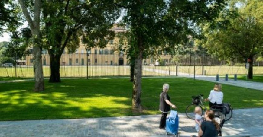 Arrivée de 115 nouveaux arbres de la Via Picasso au Viale Maria Luigia : découvrez toutes les rues concernées
