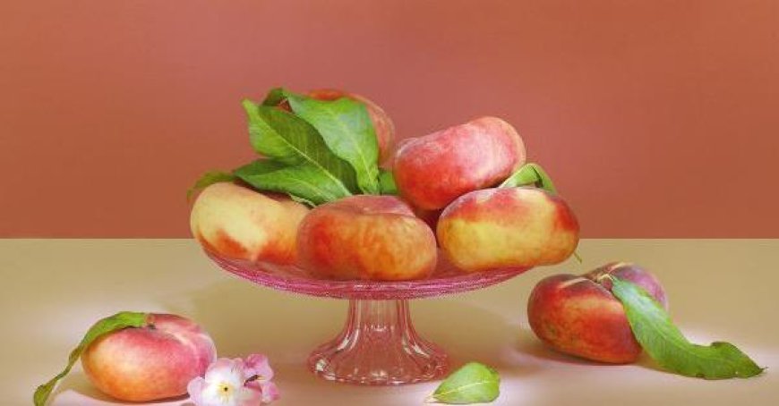 Sommerliche Leckerbissen: Pfirsiche in all ihren Variationen