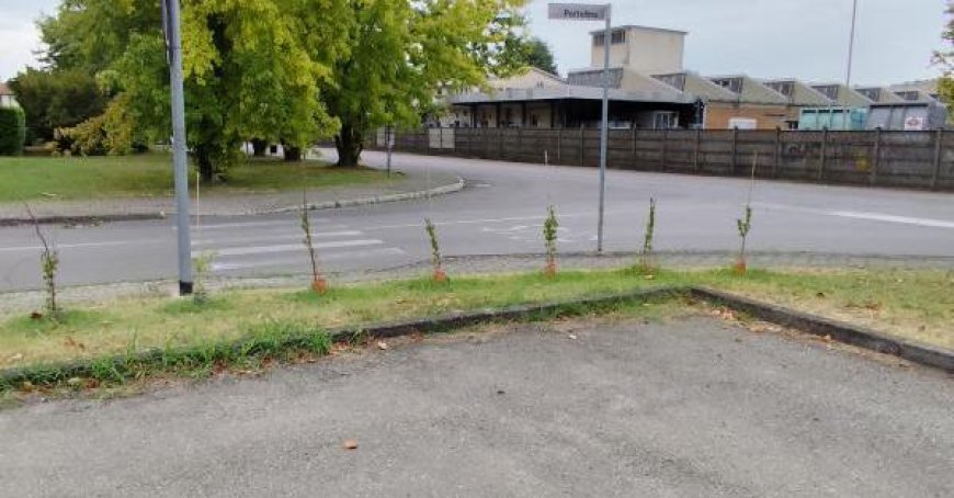 Un bel exemple de citoyenneté active: Deux citoyens se proposent pour prendre soin de deux espaces verts et la commune conclut un accord