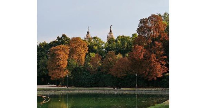 Les ippocastani du Parco Ducale touchés par une maladie, ce n’est pas l’automne