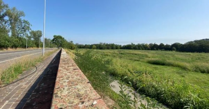 Victims of Covid-19 still awaiting “Memorial Forest”