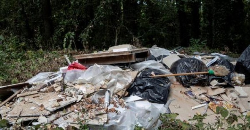 Residents, including Mayor, respond to the appeal for Tommy’s forest