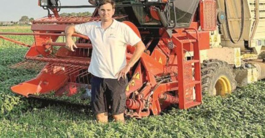 Filippo Carrara : passion pour le basilic. «Je cultive 50 hectares par an»