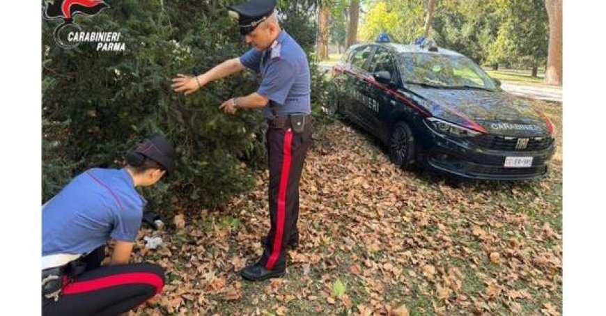 Contrôles renforcés au parc Ducale de Parme: 4 plaintes et signalements de jeunes à la préfecture