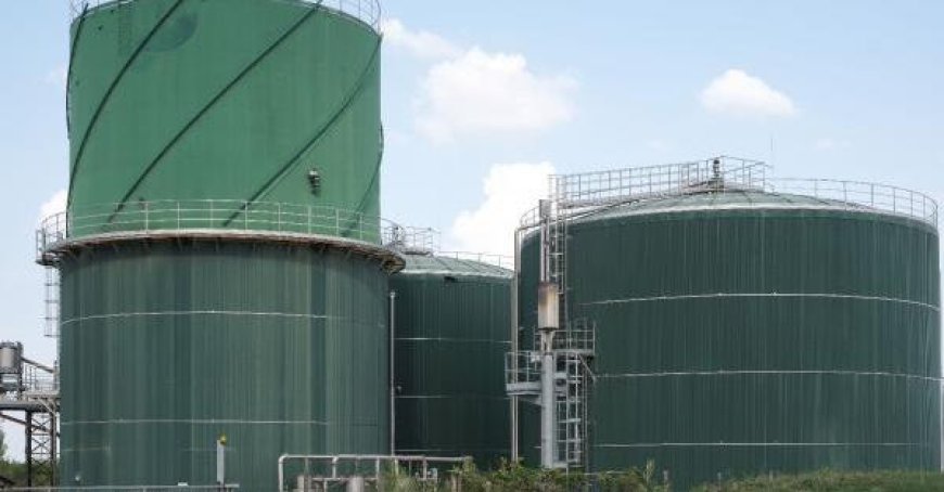Biomethan: Socogas eröffnet Anlage in der Bassa