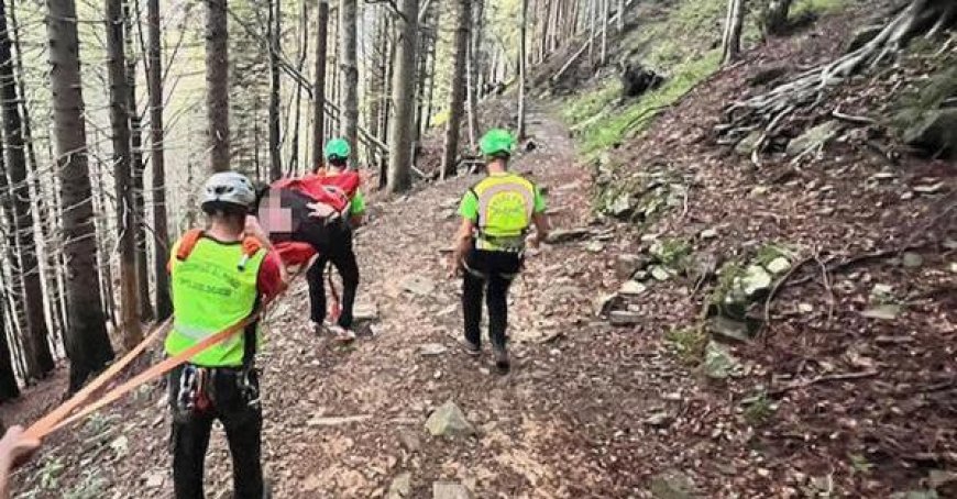 15-jähriger stürzt auf dem Weg und erleidet eine Knöchelverletzung, zwei alpine Rettungsteams kommen an