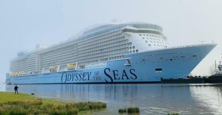 Weltumrundungskreuzfahrtschiff seit 3 Monaten in Belfast gestrandet, Passagiere festsitzend