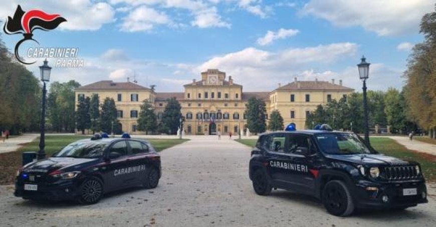 Deux jeunes de 21 ans de Parme inculpés pour trafic de drogue, 5 jeunes signalés comme consommateurs