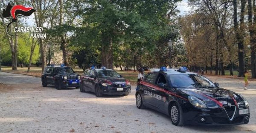 Les contrôles se poursuivent au Parc Ducal et dans toute la ville : des plaintes et des signalements à la Préfecture