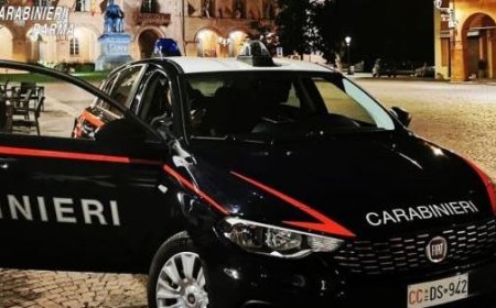 Alcool et drogue à Fidenza : une longue liste de plaintes, de permis retirés et de signalements