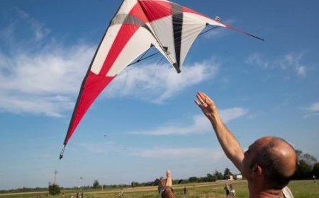 Kite festival in Panocchia: The charm of flight for adults and children – photos from the event
