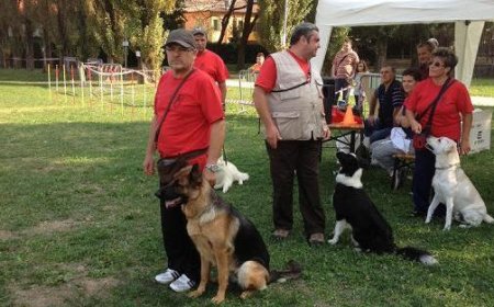 Four-Legged Fun at Civic Center Park in Sorbolo