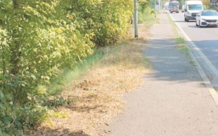 Vignali kritisiert mangelhafte Radwege: “Keine Wartung erfolgt”
