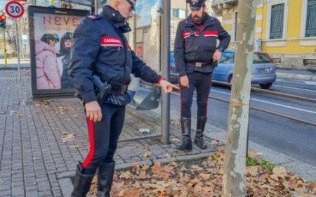 Un câble découvert dans la rue de Tesero : le juge évoque le plaisir pervers de la meute