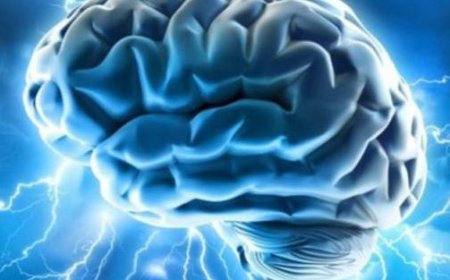 Les différents types d’amour sont localisés dans le cerveau