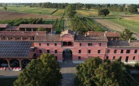 Une jardinière irrésistible : la nouvelle tendance de l’été
