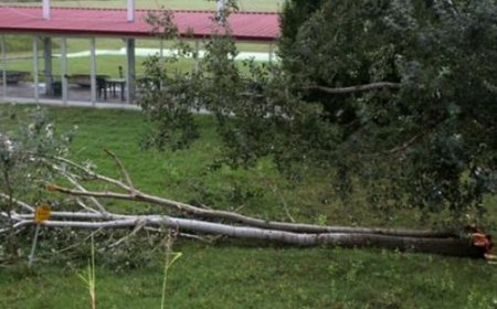 Sturm in Polesine, die Schadensbilanz – Fotos