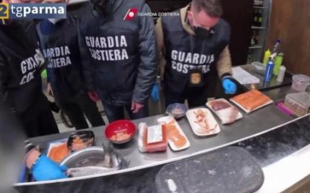 Küstenwache von La Spezia: Maximale Beschlagnahmung von Fischprodukten auch in Parma-Video