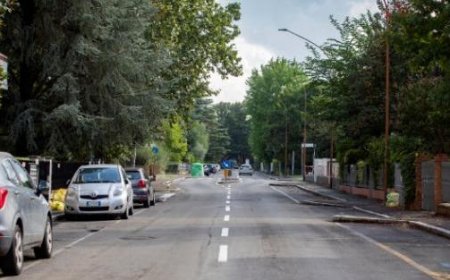 Hund vertreibt Diebe bei maximalem Schmuckdiebstahl in Via Marzabotto